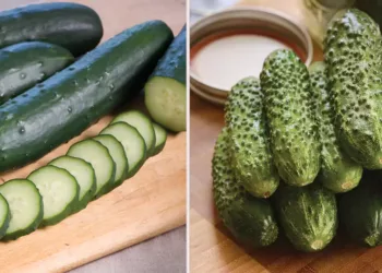 Ce se întâmplă când mâncăm castraveți. Beneficii miraculoase  pentru sănătatea noastră