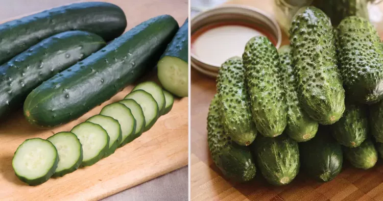 Ce se întâmplă când mâncăm castraveți. Beneficii miraculoase  pentru sănătatea noastră