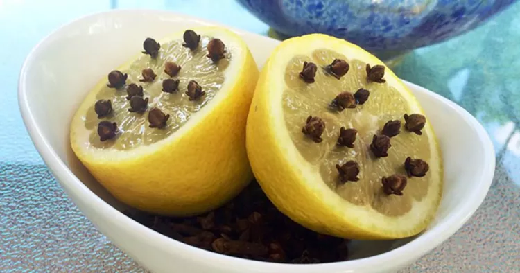 A înfipt câteva cuișoare într-o lămâie. După ce vei afla de ce, vei face și tu la fel!