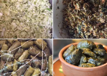 Sarmalele pădurarului O rețetă foarte bună, gustoasă și de post!