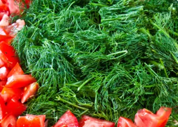 Beneficiile miraculoase ale mărarului. Iată ce conține această verdeață pe care mulți o ignoră