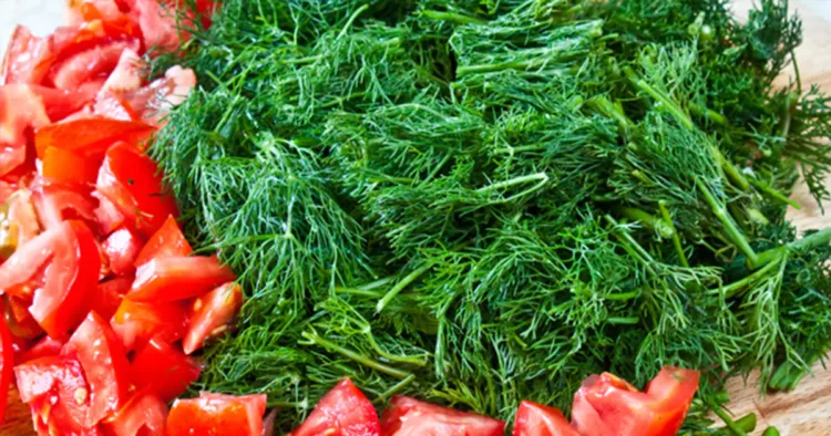 Beneficiile miraculoase ale mărarului. Iată ce conține această verdeață pe care mulți o ignoră