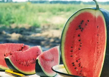 Cum știi dacă un pepene roșu e dulce fără să-l tai