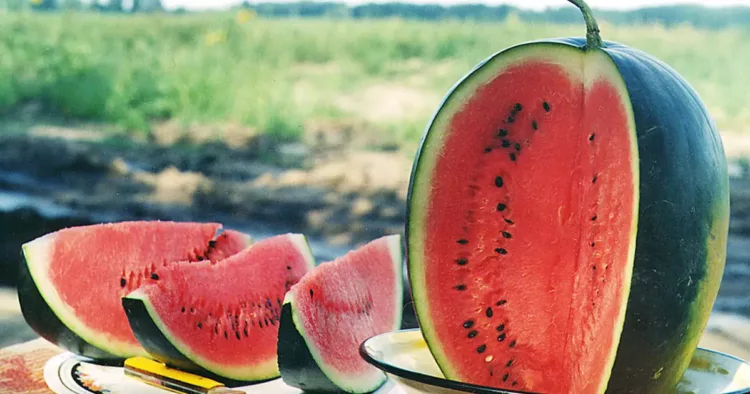 Cum știi dacă un pepene roșu e dulce fără să-l tai