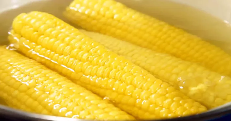 Secretul celui mai bun porumb fiert