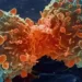 Alimentul care răspândește celulele canceroase în tot corpul. Renunță la el cât mai rapid