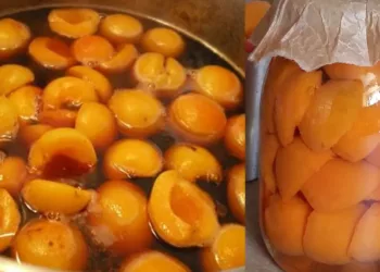 Cum să faci compot de caise ca în copilărie