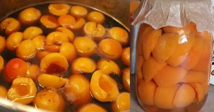 Cum să faci compot de caise ca în copilărie