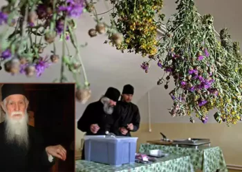 Ceaiurile Calugarului Pahomie cu care a învins boala 92 de ani, Leacuri Sfinte