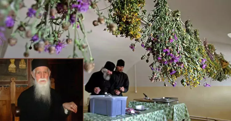 Ceaiurile Calugarului Pahomie cu care a învins boala 92 de ani, Leacuri Sfinte