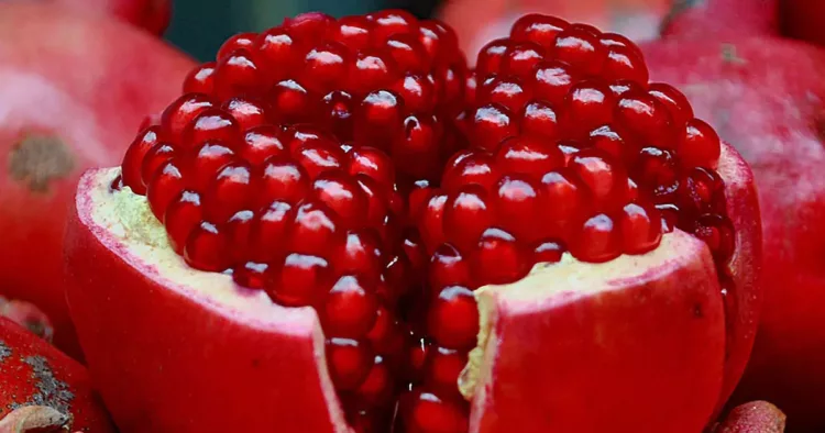 Top 10 plante și fructe cu efecte miraculoase