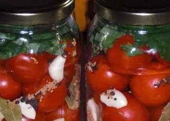 Roșii murate cu usturoi ca în copilărie. Bunica ne răsfăța în fiecare iarnă cu aceste bunătăți