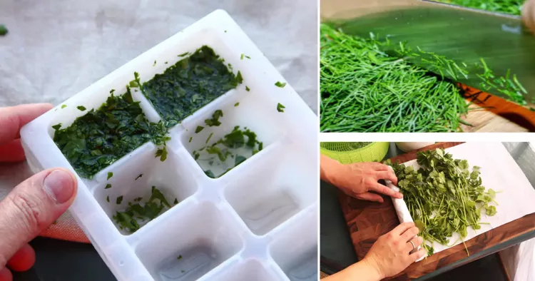 Cum trebuie să punem mărarul și pătrunjelul la congelator în mod corect?