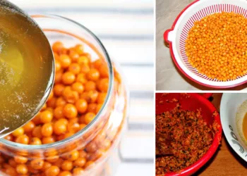 Aceasta este bomba de vitamine de care are nevoie organismul tău pentru a ține toate bolile la distanță. Vezi cum se prepară cătina cu miere