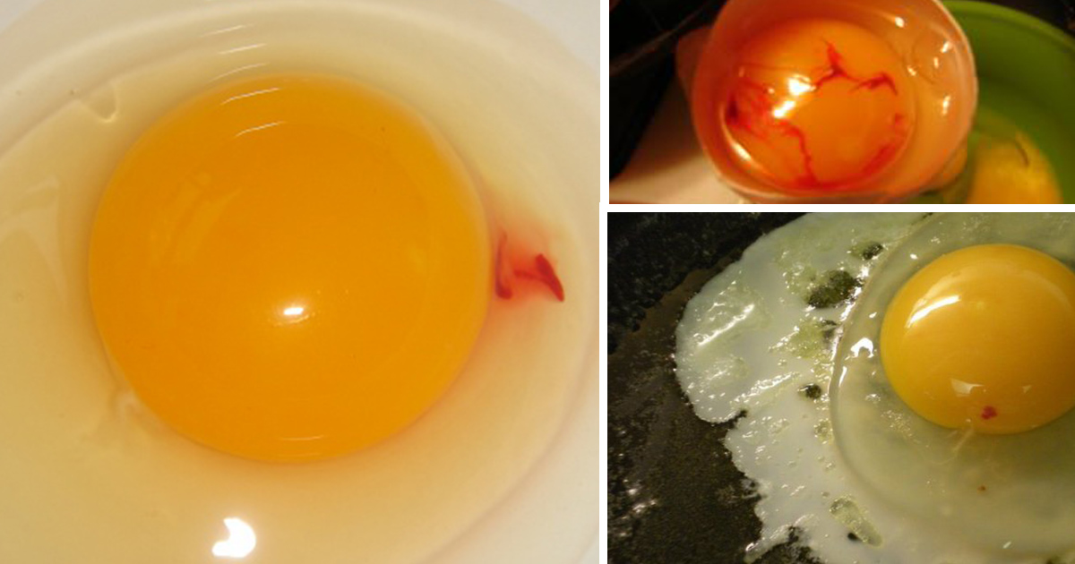 Odds Stressful Incite Ce trebuie să faci atunci când găsești ouă cu pete roșii de sânge în  gălbenușurile de ou. Sigur nu știai acest lucru - Femina.ro