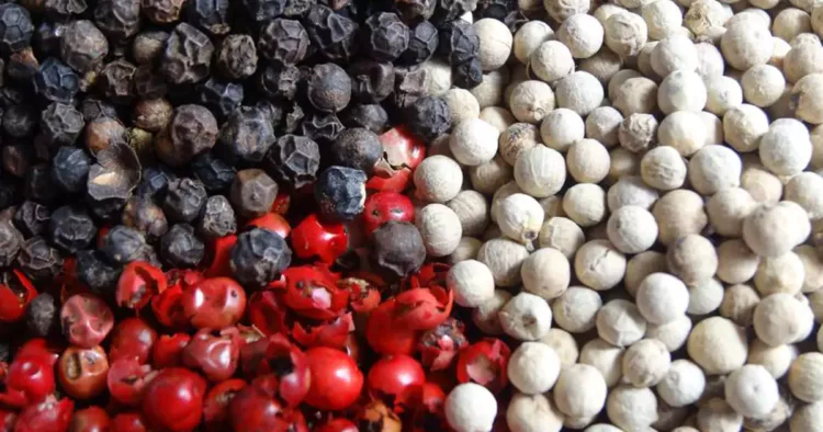 Piperul, condimentul care nu trebuie să lipsească din bucătăria ta!