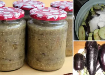 Vinete coapte la borcan pentru iarnă