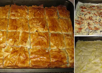 Plăcintă cu ciuperci, mărar și ceapă