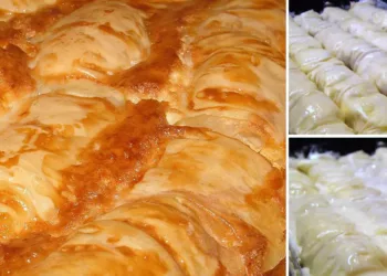 Tochitură dobrogeană autentică, un preparat tradițional delicios