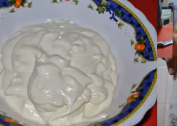 Cum să faci maioneză din lapte de soia în 5 minute, delicioasă