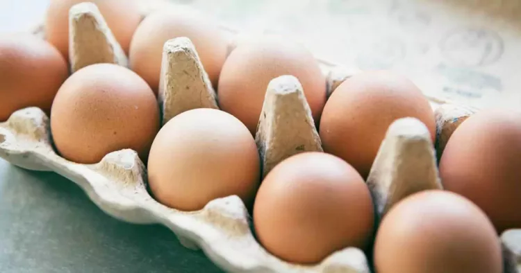 Cum să recunoști ouăle care provin de la găini bolnave. Cum putem evita ouăle stricate