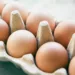 Cum să recunoști ouăle care provin de la găini bolnave. Cum putem evita ouăle stricate