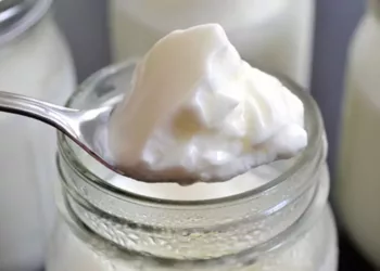 Cum se prepară iaurtul natural de casă. Cum trebuie să fie laptele atunci când îl folosim