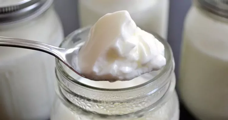 Cum se prepară iaurtul natural de casă. Cum trebuie să fie laptele atunci când îl folosim