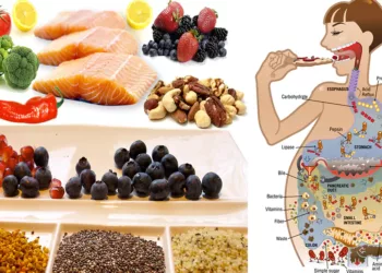 În cât timp se digeră fiecare aliment în corpul nostru . Cum să mâncăm corect pentru a fii sănătoși