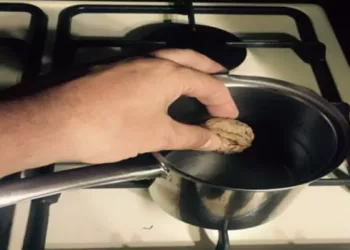A pus o nucă într-un ibric cu apă, apoi l-a pus la fiert. Motivul te va face și pe tine să încerci