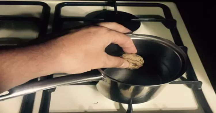 A pus o nucă într-un ibric cu apă, apoi l-a pus la fiert. Motivul te va face și pe tine să încerci