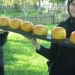 Alimente cu har: povestea produselor tradiționale de la Mănăstirea Aninoasa