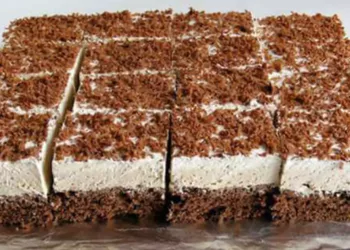 Prăjitură Boema cu ness, preferata tuturor iubitorilor de cafea și nu numai! este absolut delicioasă și merită pregătită de toată lumea. Rețeta este foarte ușoară