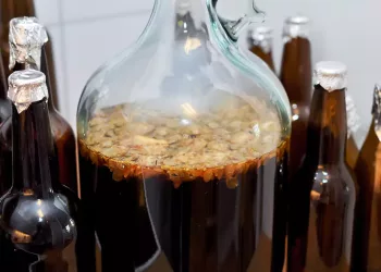 Cum să îți prepari berea acasă. O rețetă de pe vremea străbunicului meu. Mulți au insistat să le dau această rețetă