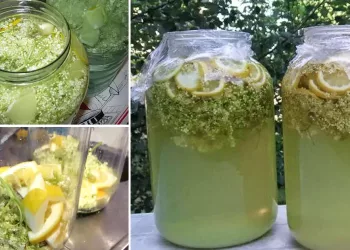 Cum se pregătește cea mai bună socată a  copilăriei. Gustul divin pe care toată familia îl așteaptă în fiecare vară