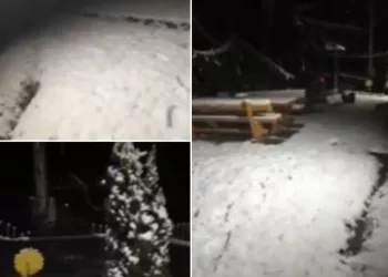 Ninge in Romania! VIDEO în timp real: