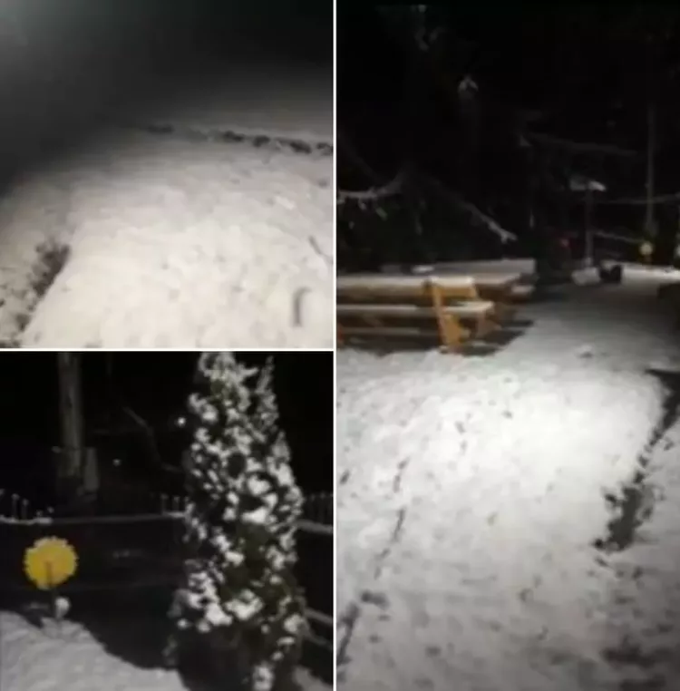 Ninge in Romania! VIDEO în timp real: