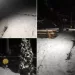 Ninge in Romania! VIDEO în timp real: