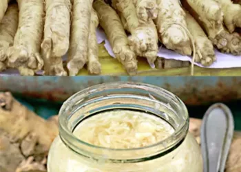 Nu-l mai ocoliti! Hreanul, alimentul ideal pentru creier, inimă și oase – Iată modul in care trebuie consumat: