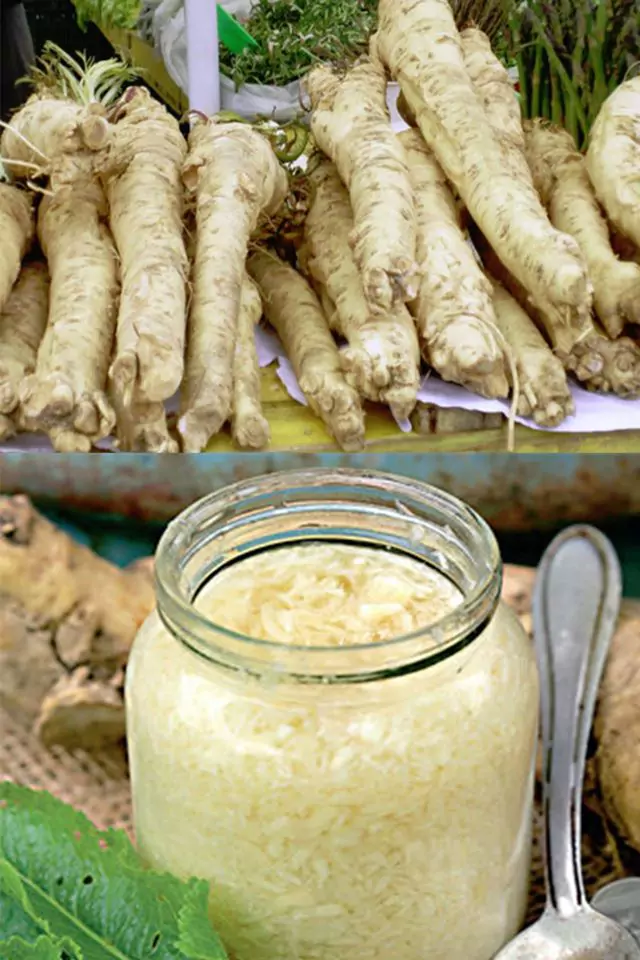 Nu-l mai ocoliti! Hreanul, alimentul ideal pentru creier, inimă și oase – Iată modul in care trebuie consumat: