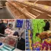 S-a terminat cu cumpărăturile masive! Anunțul făcut de către un cunoscut lanț de supermarket-uri din Capitală: ”Șase bucăți pe fiecare bon fiscal!”