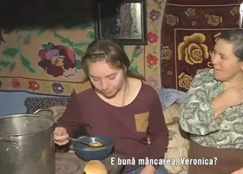 De necrezut! Câți lei primește Vulpița, în fiecare lună, de la stat: