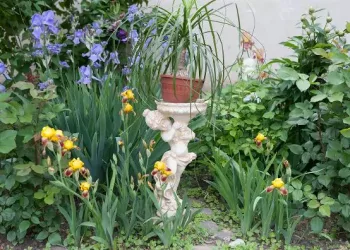 Cum îți amenajezi grădina în stil minimalist