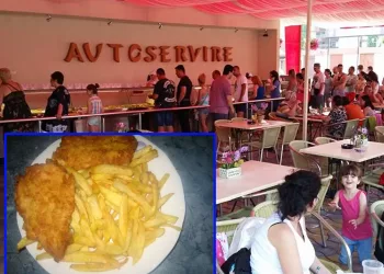 De necrezut! Câți lei a dat o turistă pe un șnițel cu cartofi prăjiți, la „împinge tava” în Mamaia