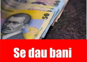 Se dau BANI DE LA STAT pentru toți acești români! Sumele ajung chiar și la 4000 de EURO! Ce trebuie să faci ca să îi primești