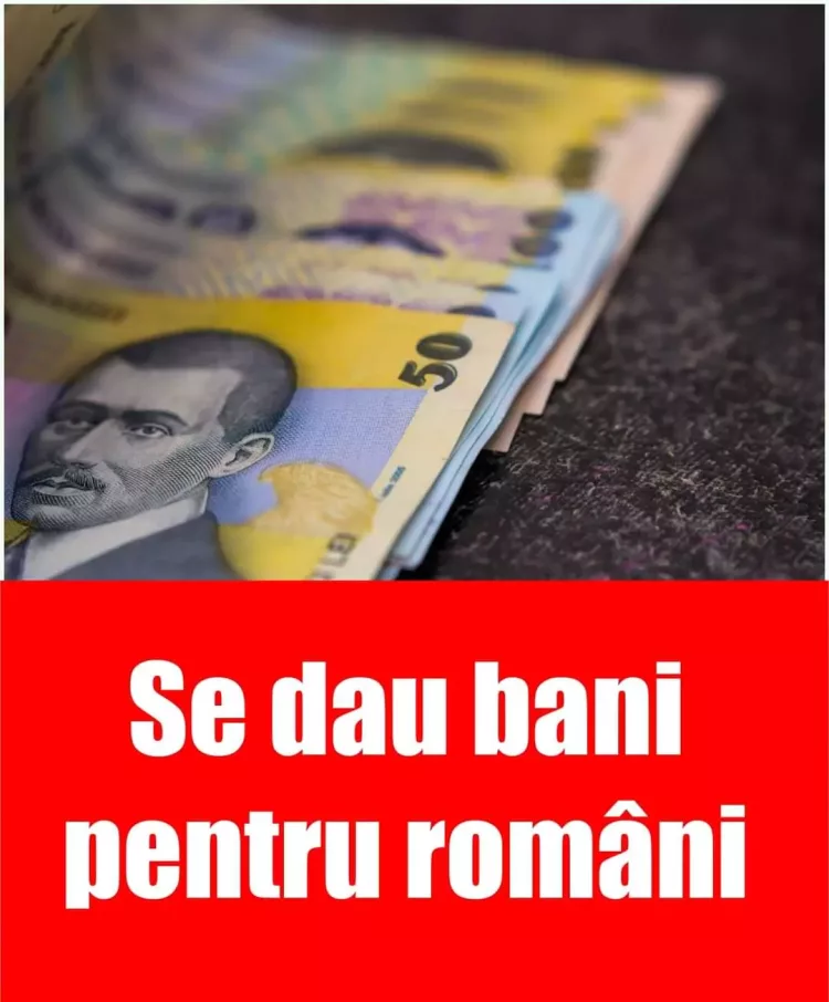 Se dau BANI DE LA STAT pentru toți acești români! Sumele ajung chiar și la 4000 de EURO! Ce trebuie să faci ca să îi primești