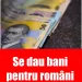 Se dau BANI DE LA STAT pentru toți acești români! Sumele ajung chiar și la 4000 de EURO! Ce trebuie să faci ca să îi primești