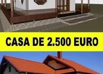 Un nou proiect în România: Vezi cum să îți construiești o casă cu un buget de 2.500 euro maxim
