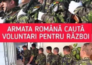 Care sunt salariile din Armata Română. Câți bani primește un voluntar