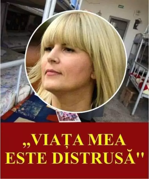 ADIO , LUX! Cum arată celula de la Penitenciarul Târgşorul Nou în care va sta Elena Udrea…